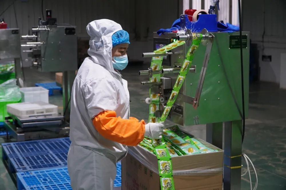 建水抗疫復產雙線發力 食品企業開啟“加速跑” 搶抓銷售“開門紅”